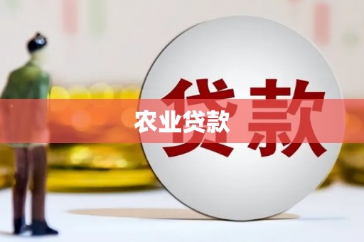 丰滨农业贷款