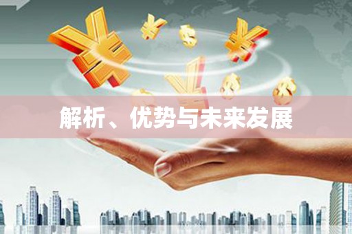 丰滨解析、优势与未来发展