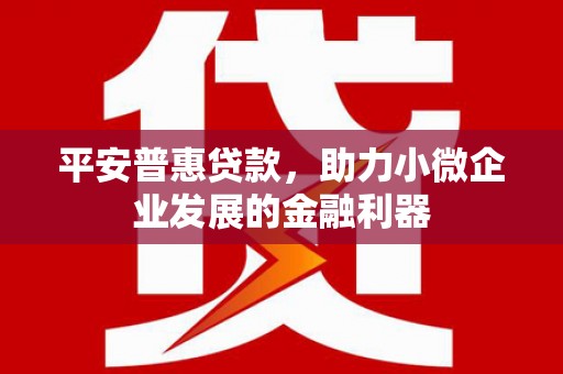丰滨平安普惠贷款，助力小微企业发展的金融利器