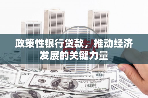 丰滨政策性银行贷款，推动经济发展的关键力量