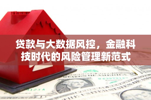 丰滨贷款与大数据风控，金融科技时代的风险管理新范式