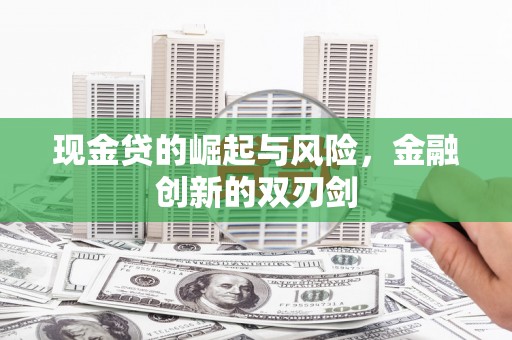 丰滨现金贷的崛起与风险，金融创新的双刃剑