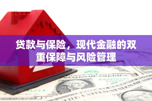 丰滨贷款与保险，现代金融的双重保障与风险管理