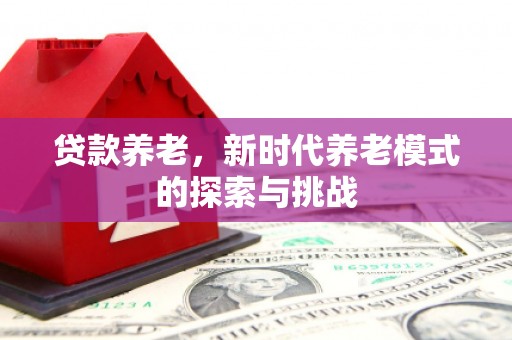 丰滨贷款养老，新时代养老模式的探索与挑战