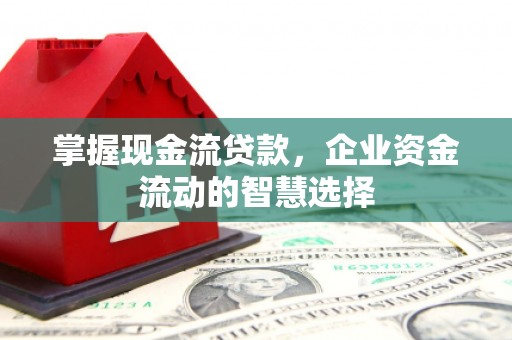 丰滨掌握现金流贷款，企业资金流动的智慧选择
