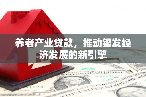 丰滨养老产业贷款，推动银发经济发展的新引擎