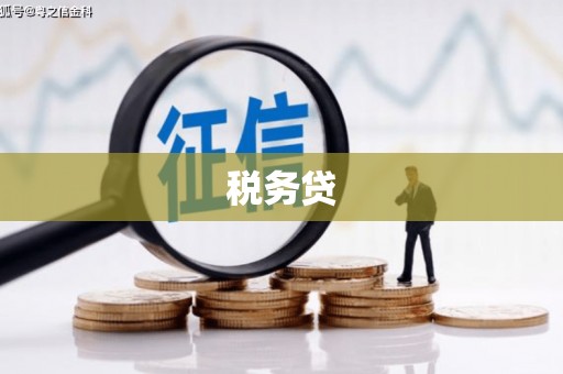 丰滨税务贷