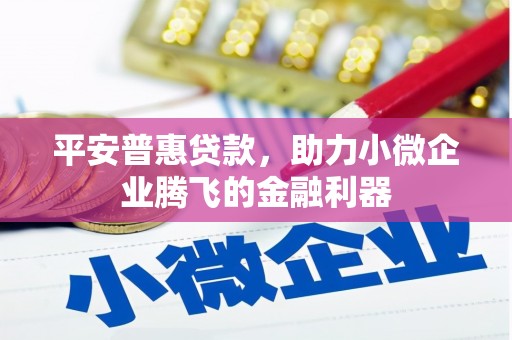丰滨平安普惠贷款，助力小微企业腾飞的金融利器