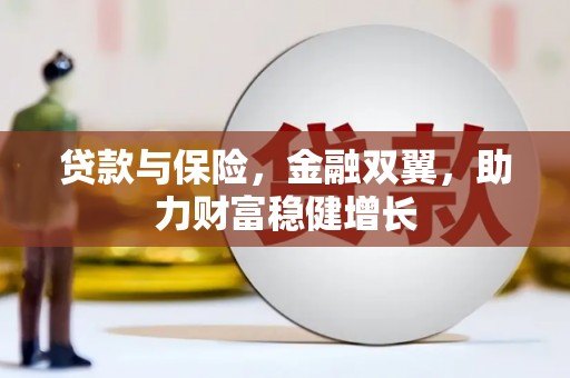 丰滨贷款与保险，金融双翼，助力财富稳健增长