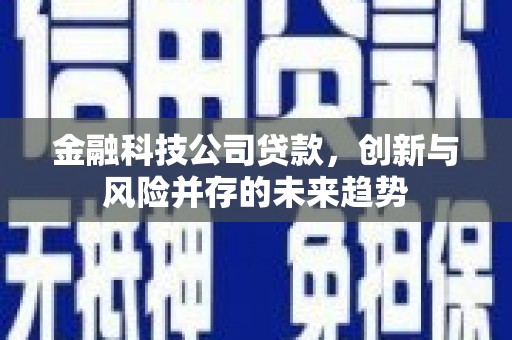 丰滨金融科技公司贷款，创新与风险并存的未来趋势