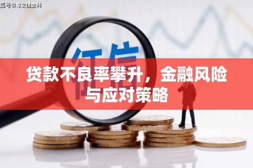丰滨贷款不良率攀升，金融风险与应对策略