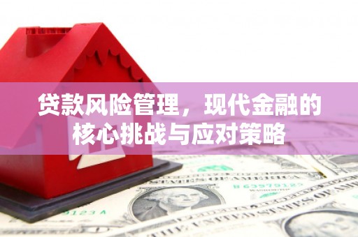 丰滨贷款风险管理，现代金融的核心挑战与应对策略