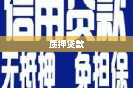 丰滨质押贷款