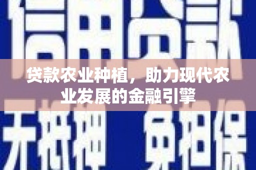 丰滨贷款农业种植，助力现代农业发展的金融引擎