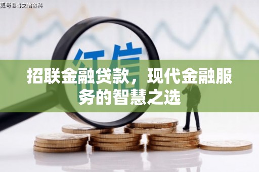 丰滨招联金融贷款，现代金融服务的智慧之选