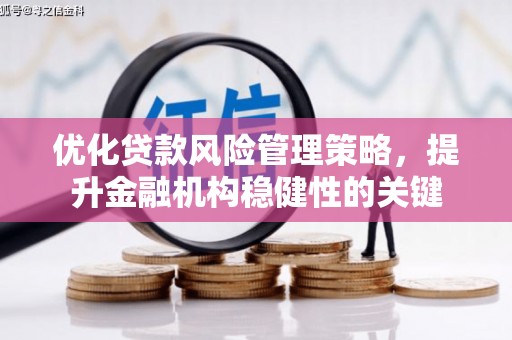丰滨优化贷款风险管理策略，提升金融机构稳健性的关键