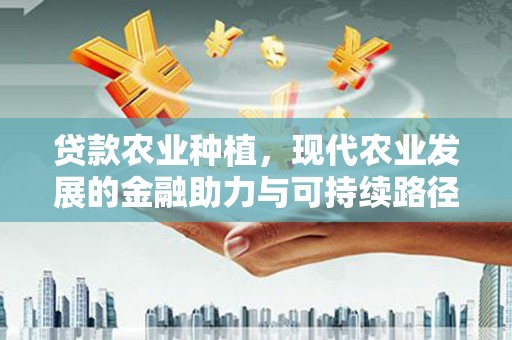 丰滨贷款农业种植，现代农业发展的金融助力与可持续路径