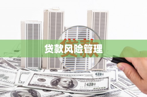 丰滨贷款风险管理
