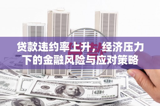 丰滨贷款违约率上升，经济压力下的金融风险与应对策略