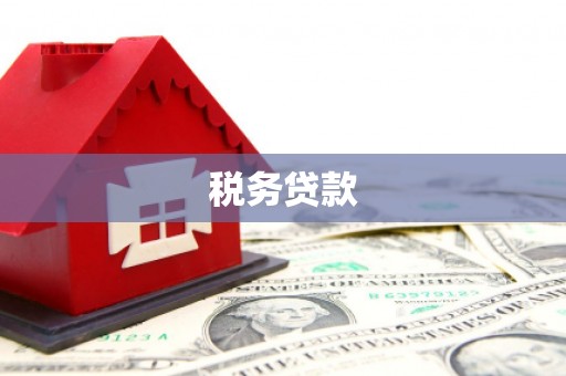 丰滨税务贷款