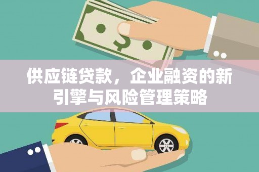 丰滨供应链贷款，企业融资的新引擎与风险管理策略
