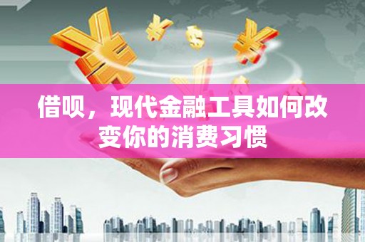 丰滨借呗，现代金融工具如何改变你的消费习惯