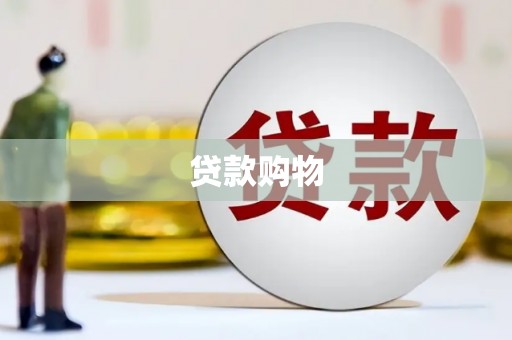 丰滨贷款购物
