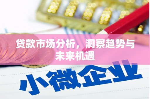 丰滨贷款市场分析，洞察趋势与未来机遇