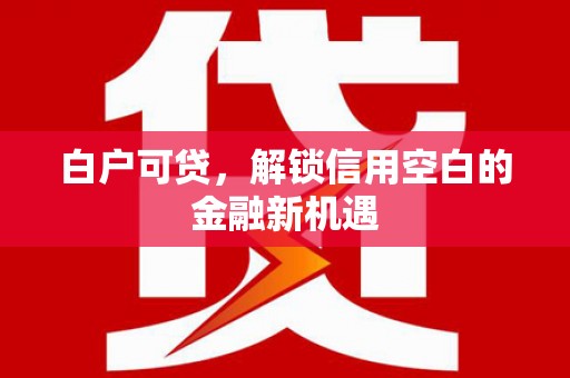 丰滨白户可贷，解锁信用空白的金融新机遇