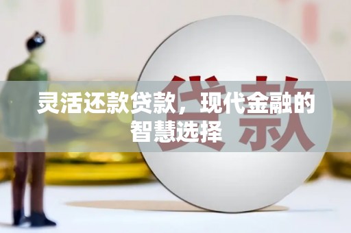 丰滨灵活还款贷款，现代金融的智慧选择
