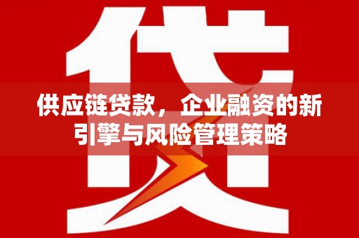 丰滨供应链贷款，企业融资的新引擎与风险管理策略
