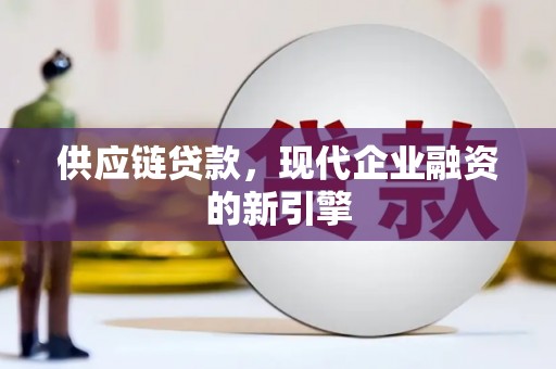 丰滨供应链贷款，现代企业融资的新引擎