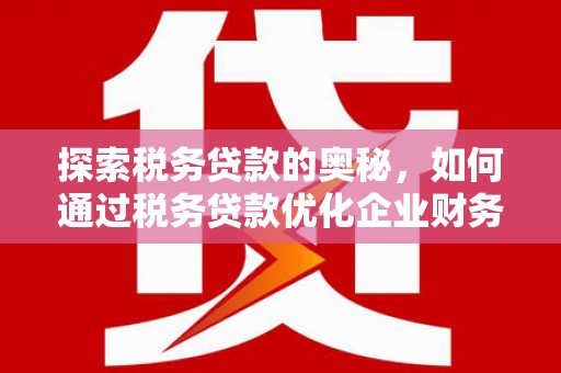 丰滨探索税务贷款的奥秘，如何通过税务贷款优化企业财务