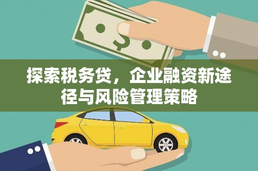 丰滨探索税务贷，企业融资新途径与风险管理策略