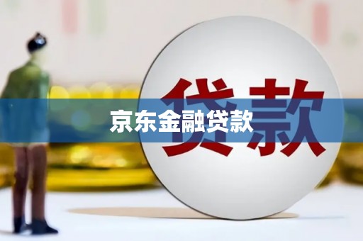 丰滨京东金融贷款