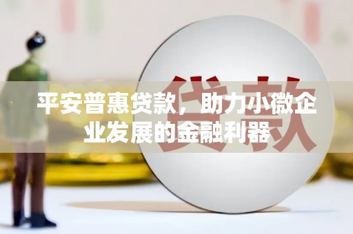 丰滨平安普惠贷款，助力小微企业发展的金融利器