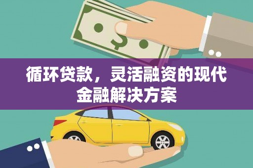 丰滨循环贷款，灵活融资的现代金融解决方案