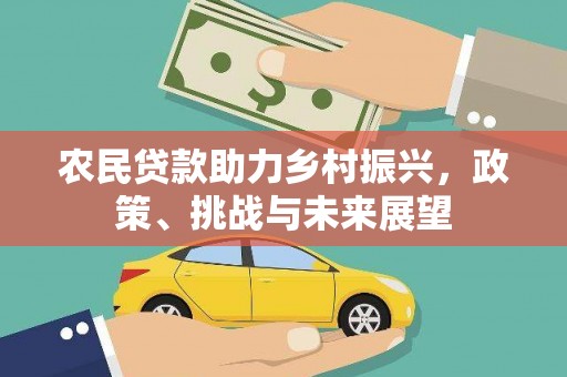 丰滨农民贷款助力乡村振兴，政策、挑战与未来展望