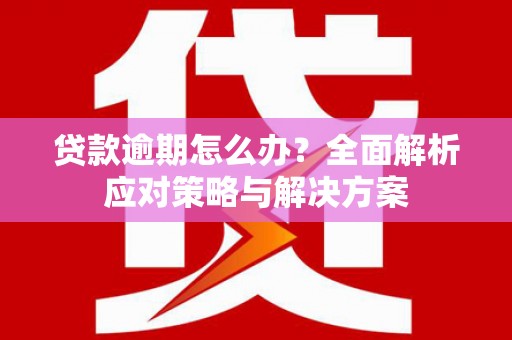 丰滨贷款逾期怎么办？全面解析应对策略与解决方案