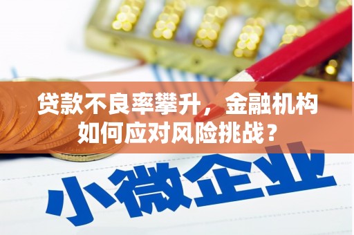 丰滨贷款不良率攀升，金融机构如何应对风险挑战？