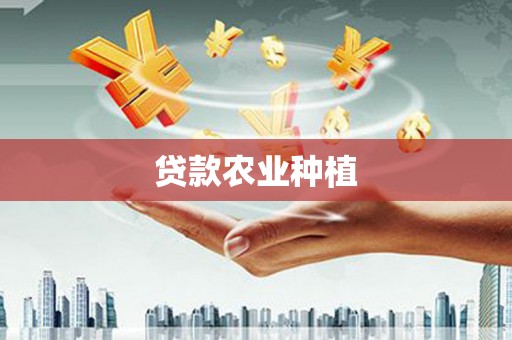 丰滨贷款农业种植