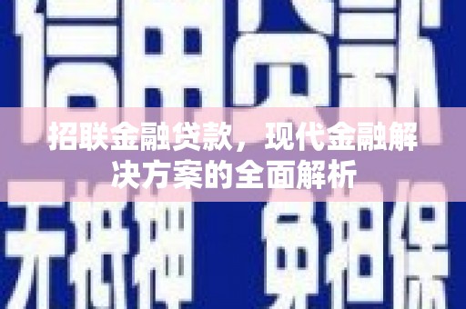 丰滨招联金融贷款，现代金融解决方案的全面解析