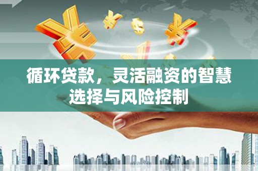 丰滨循环贷款，灵活融资的智慧选择与风险控制