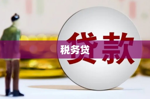 丰滨税务贷