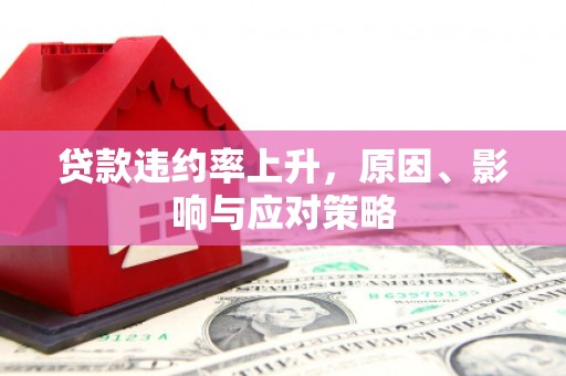 丰滨贷款违约率上升，原因、影响与应对策略