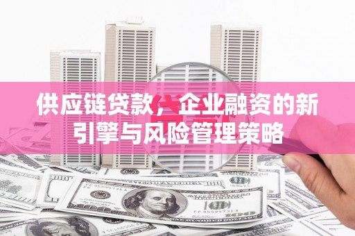丰滨供应链贷款，企业融资的新引擎与风险管理策略