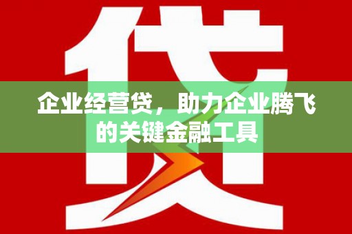 丰滨企业经营贷，助力企业腾飞的关键金融工具