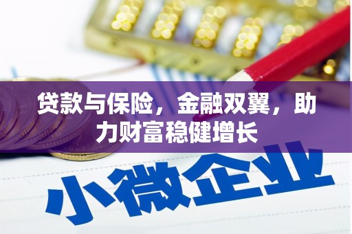丰滨贷款与保险，金融双翼，助力财富稳健增长