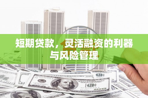 丰滨短期贷款，灵活融资的利器与风险管理