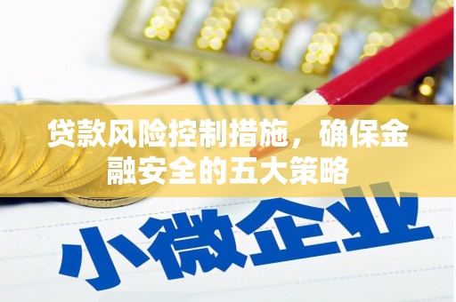 丰滨贷款风险控制措施，确保金融安全的五大策略